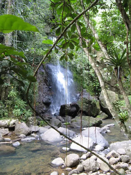 Saut Des Trois Cornes Γουαδελούπη — Φωτογραφία Αρχείου