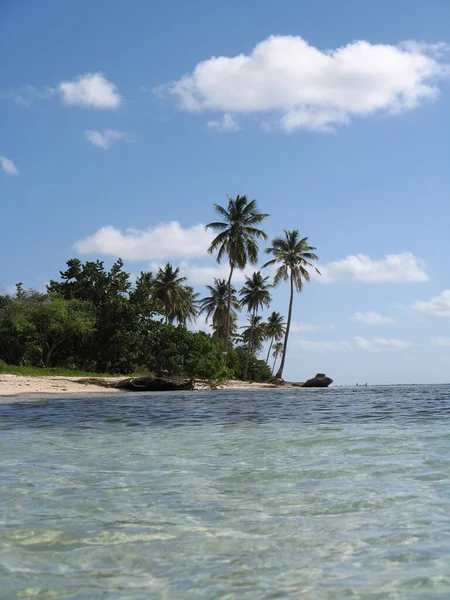 Strand Van Bois Jolan Sainte Anne Guadeloupe — Stockfoto