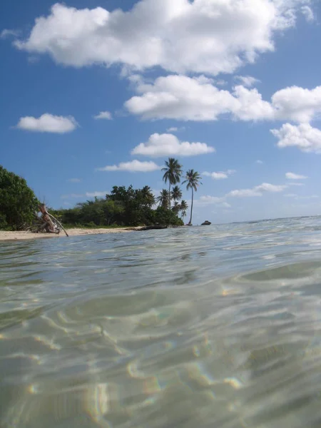 Playa Bois Jolan Sainte Anne Guadalupe — Foto de Stock