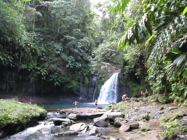 Saut Izarde Guadeloupe — Stockfoto