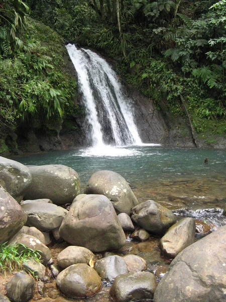 Cascade Aux Crevisses Guadalupa — Foto Stock