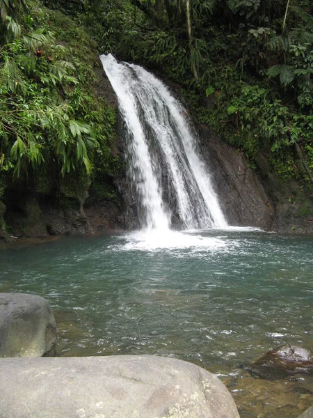 Cascade Aux Crevisses Guadeloupe — стокове фото