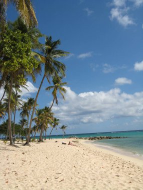 Feuillre Sahili, Capesterre de Marie-Galante