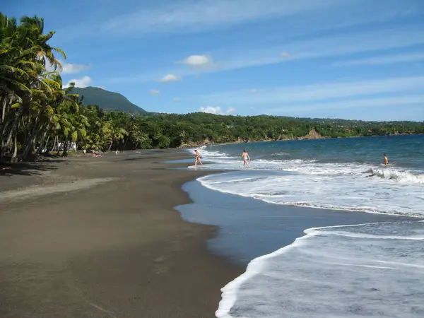 Strand Van Grande Anse Trois Rivires Guadeloupe — Stockfoto