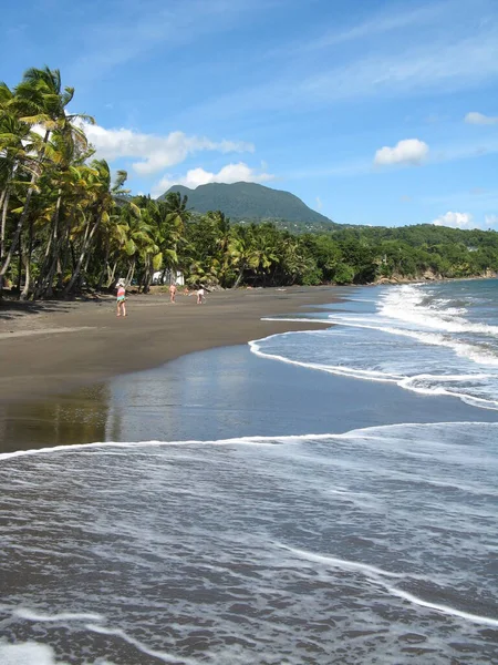 Пляж Гранд Анс Труа Ривирес Гваделупа — стоковое фото