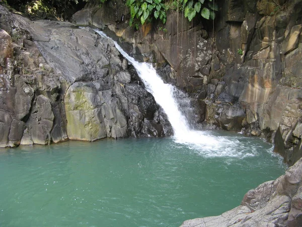 Saut Acomat Guadeloupe — Photo