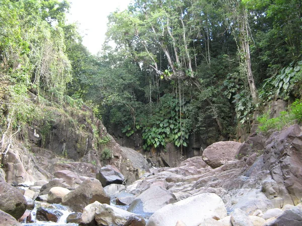 Saut Acomat Guadalupa — Foto Stock