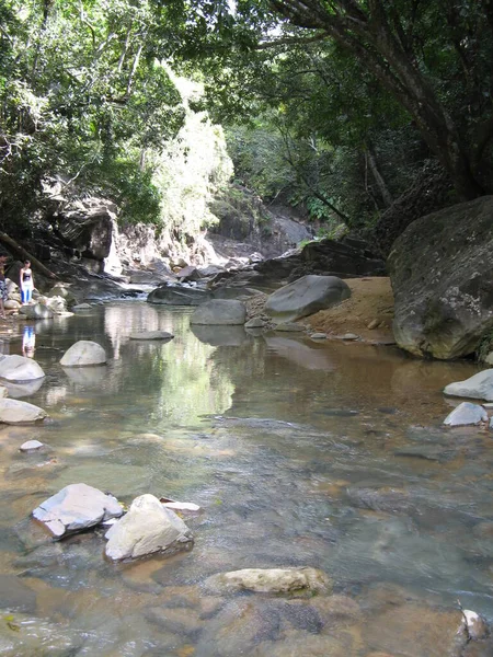 Saut Acomat Guadeloupe — Stock Photo, Image