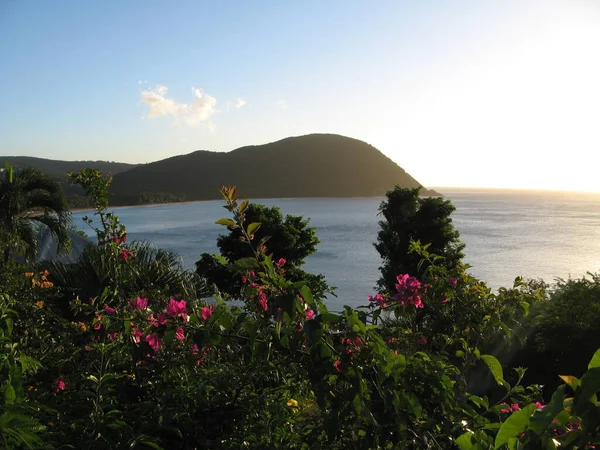 Grande Anse Deshaies Guadeloupe — стокове фото