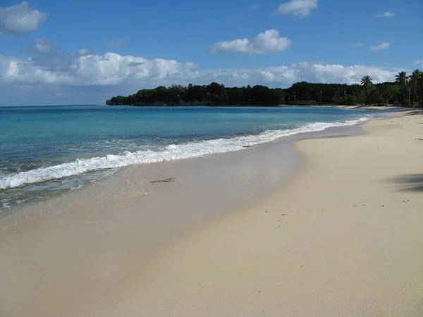 Spiaggia Marie Galante Indie Occidentali Francesi — Foto Stock