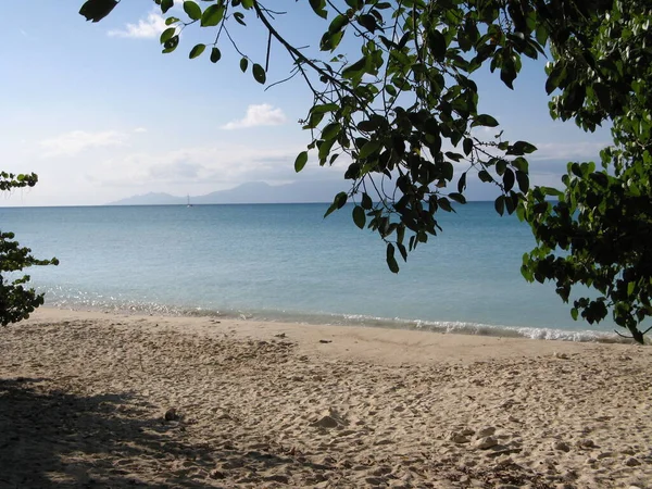 Marie Galante海滩 法属西印度群岛 — 图库照片
