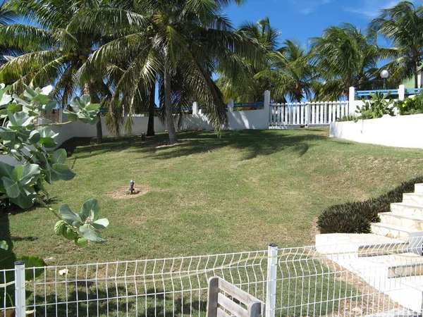 Maison Créole Antilles Françaises — Photo