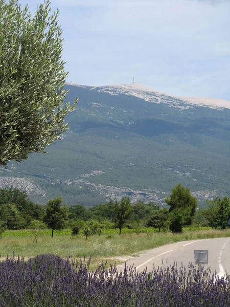 Mont Ventoux Vaucluse Frankreich — Stockfoto