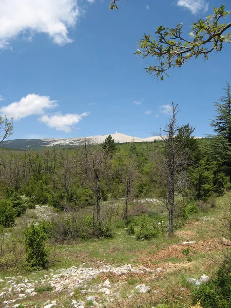 Mont Ventoux Vaucluse Fransa — Stok fotoğraf