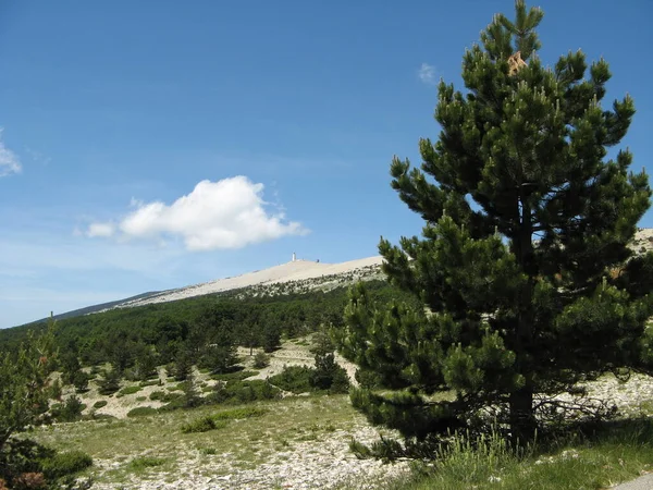 Mont Ventoux Vaucluse Frankreich — Stockfoto