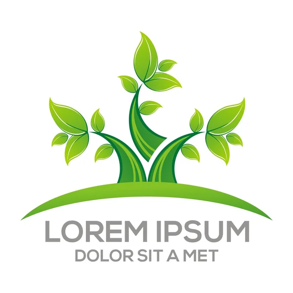 Logo Vector Folha Floral Elemento de Design Eco Folhas — Vetor de Stock