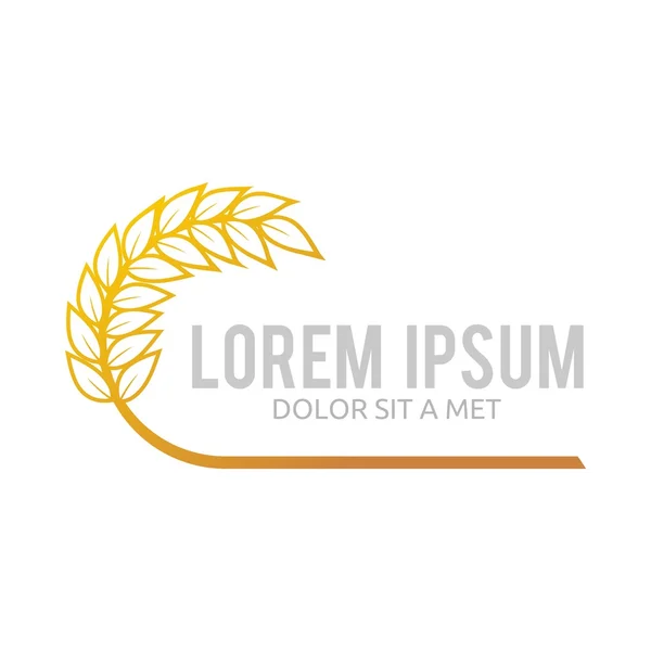 Logotipo de trigo Diseño de producto de planta de mercado abstracto — Vector de stock