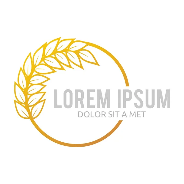 Wheat Logo Abstract Market Plant Product Design — Stok Vektör