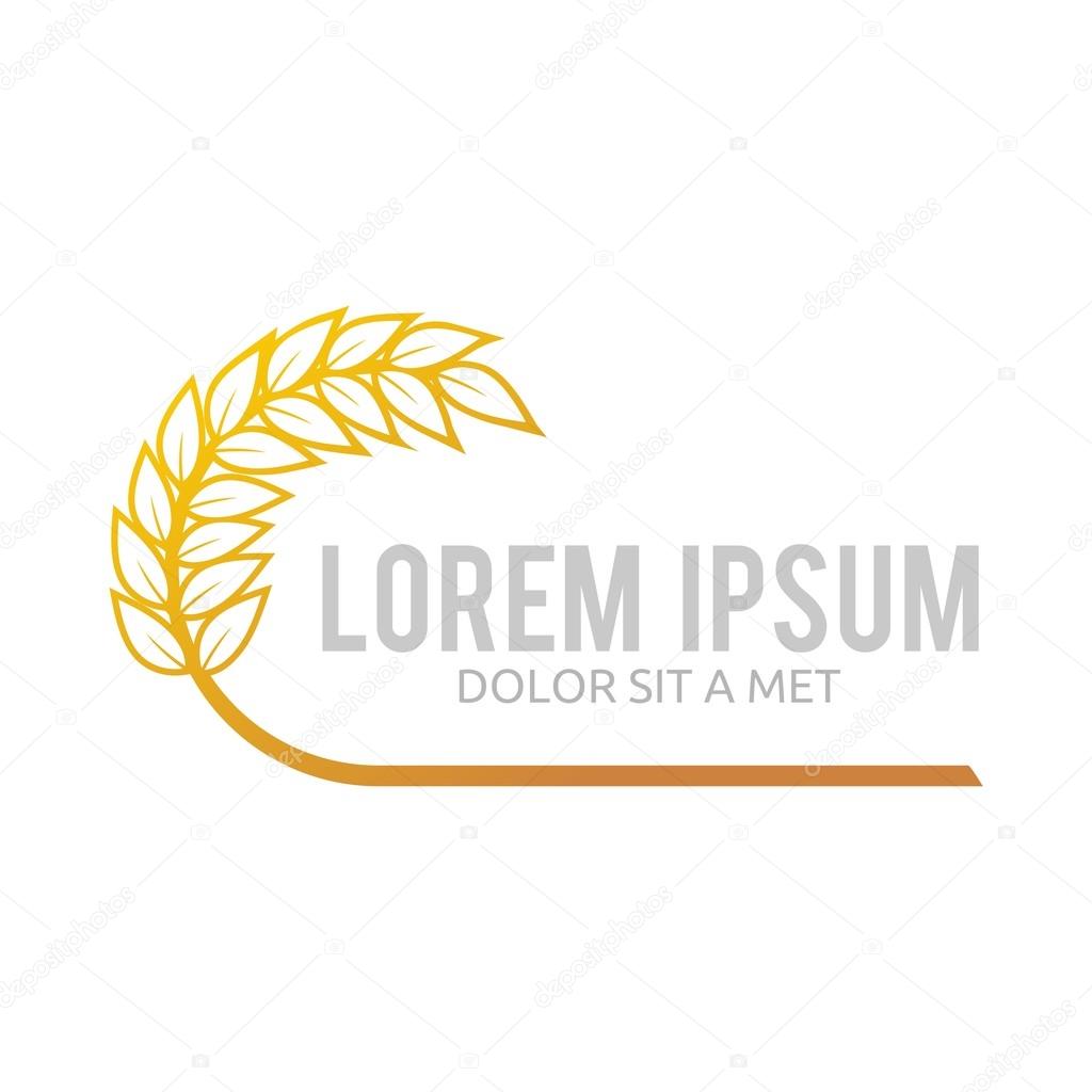 Agriculture, autumn, wheat, element, elegant, market, organic, vegatable, harvest, nutrition, vintage, texture, rice, paddy, vegetaria, plant, season, farm, grain, fresh,