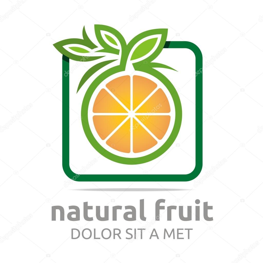 Logo natural fruit orange fresh lime leaves design vector