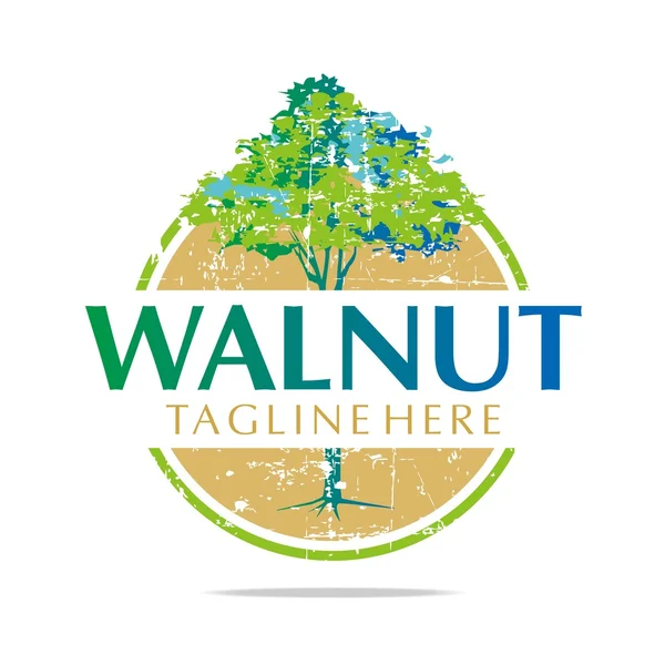 Logo walnut trees hazelnut freshness delicious vector — Stock vektor