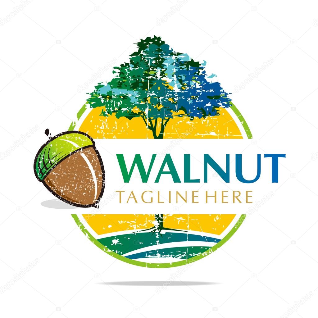 Logo walnut trees hazelnut freshness delicious vector