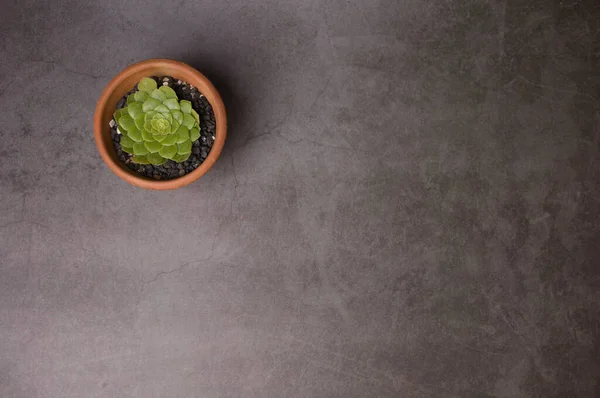 Gri beton arka planda, tencerede sulu. Metin için alanı kopyala.