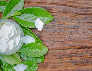 Beyaz gardenya jasminoides çiçek 