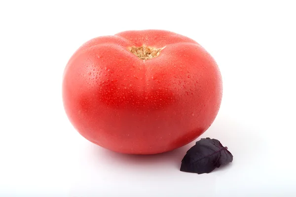 Bir ripe domates izole bir fesleğen yaprağı
