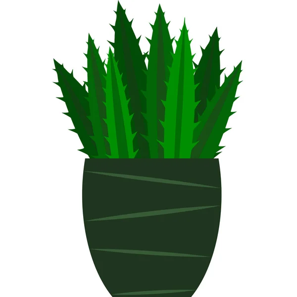 Planta Verde Com Folhas Longas Espinhosas Vaso Flores Com Padrão — Fotografia de Stock