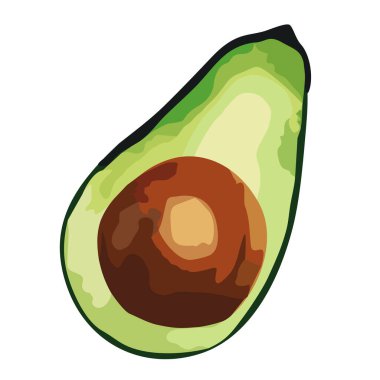 Beyaz arkaplandaki bir avokadonun soyut yakın plan çizimi. Yemek pişirmek için gerekli malzemeler
