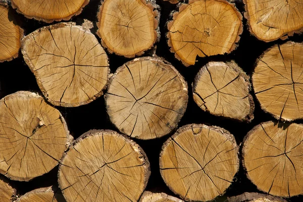 Cross section of the timber. A stack of dry firewood laid in a h — Stock Photo, Image