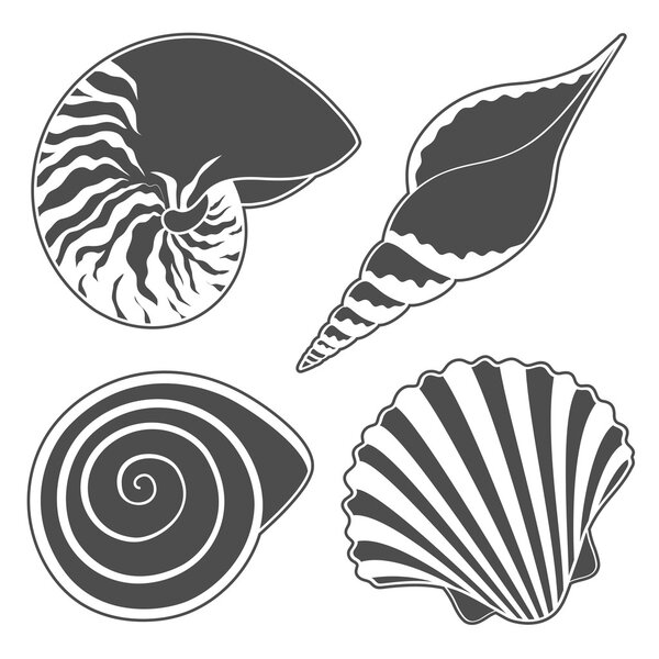 Set of graphic sea shells. Isolated objects