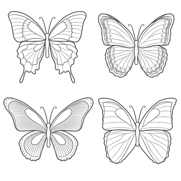 Vektör kelebekler kümesi. Beyaz izole nesneleri