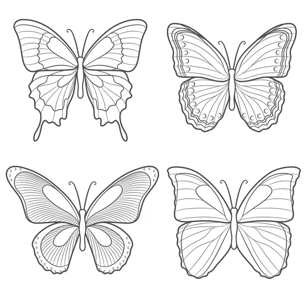 Verzameling van vector vlinders. Geïsoleerde objecten op wit — Stockvector
