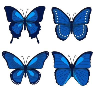 Mavi vektör kelebekler kümesi. İzole nesneleri