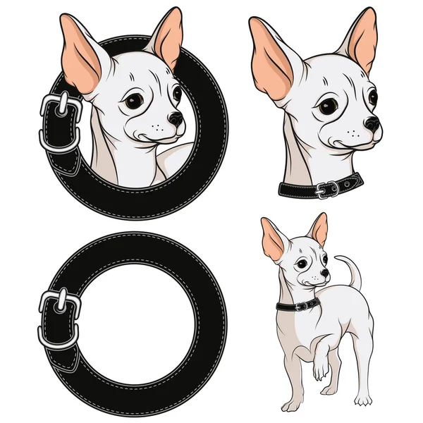 Conjunto de ilustraciones a color con un Chihuahua en un collar . — Archivo Imágenes Vectoriales