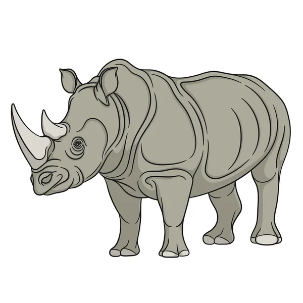 Vetor cor ilustração rinoceronte. Objeto isolado — Vetor de Stock