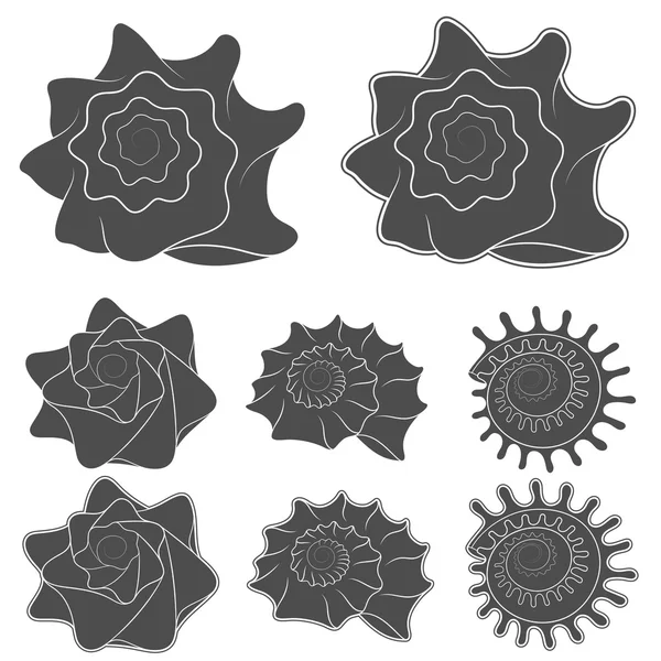 Vector set van schelpen. Geïsoleerde objecten — Stockvector