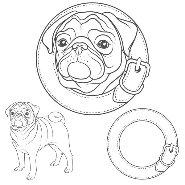 Vector set of pug images in the collar. Isolated objects