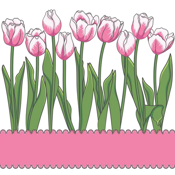 Vektorkarte mit Tulpen und Platz für eine Inschrift. isolierte Objekte — Stockvektor