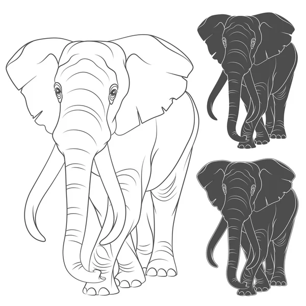 Conjunto de ilustrações vetoriais com o elefante. Objetos isolados — Vetor de Stock