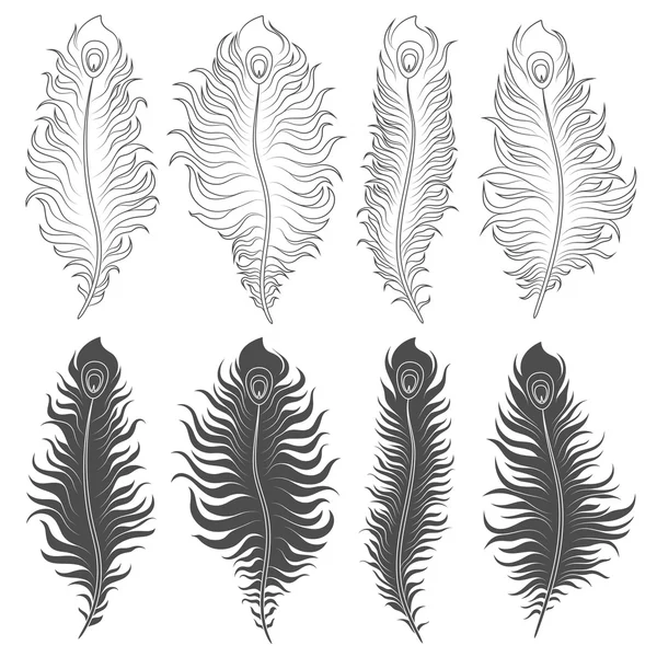 Vector set of illustrations with peacock feathers. Isolated objects on a white — Stock Vector