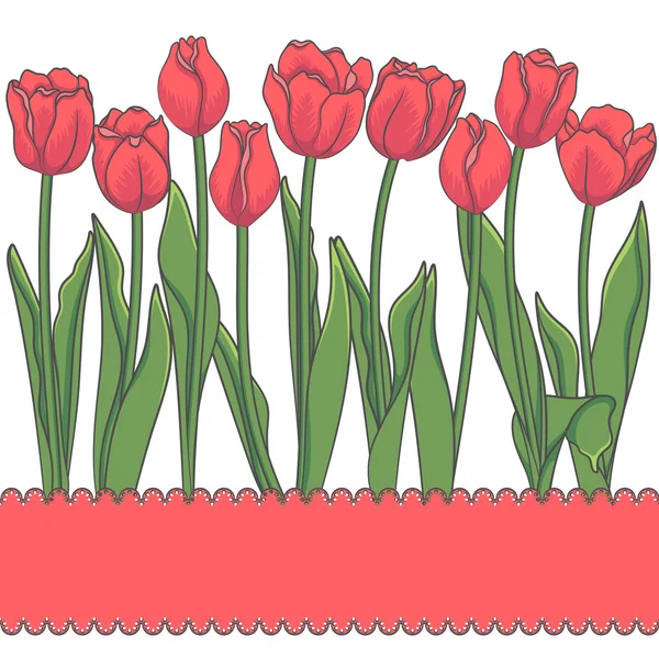 De kaart van de vector met rode tulpen en plaats voor een inscriptie. Geïsoleerde objecten — Stockvector