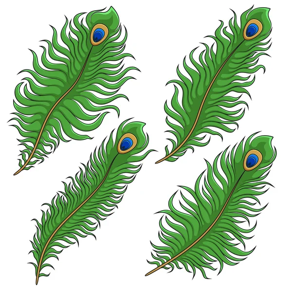 Set gekleurde peacock feather. Geïsoleerd vectorobjecten — Stockvector