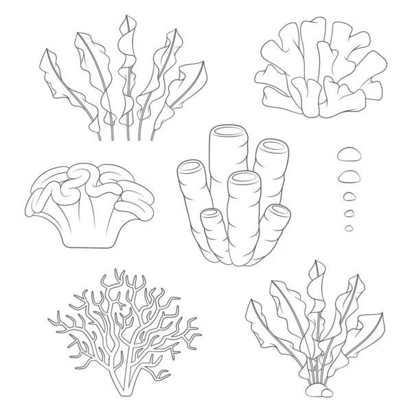 一套用珊瑚和海藻做的黑白插图 白色背景上的孤立向量对象 — 图库矢量图片