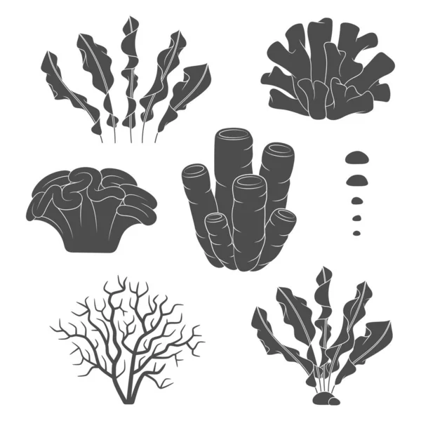 Conjunto Ilustraciones Blanco Negro Con Corales Algas Objetos Vectoriales Aislados — Vector de stock