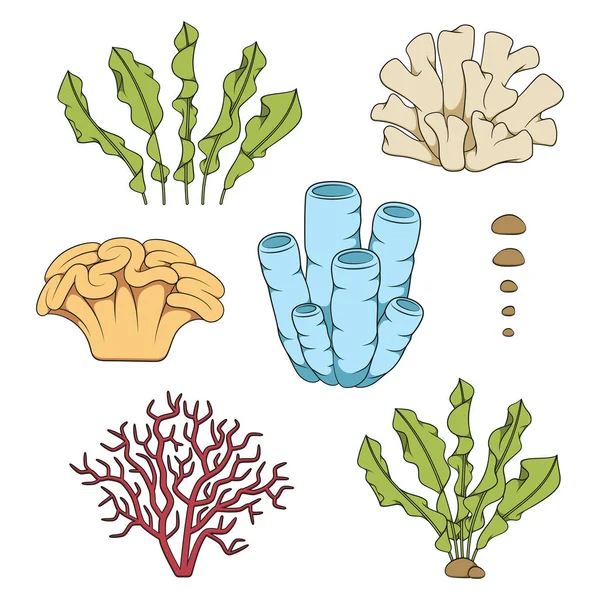 サンゴや藻類と色のイラストのセット 白い背景に独立したベクトルオブジェクト — ストックベクタ