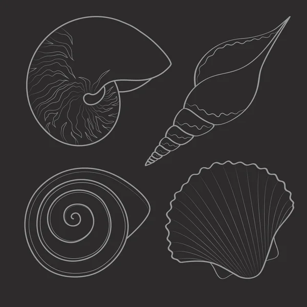 Conjunto de conchas marinas gráficas en blanco y negro . — Vector de stock