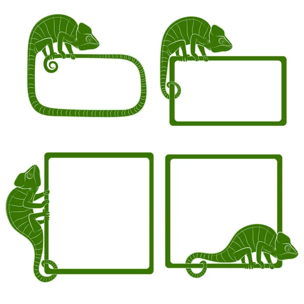 Set van pictogrammen met groene kameleon. — Stockvector